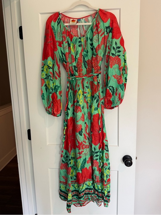 Anthropologie Dresses & Skirts - Farm Rio Green & Red Floral Maxi Dress